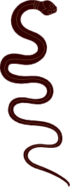 asklepiossnake.gif (4282 Byte)